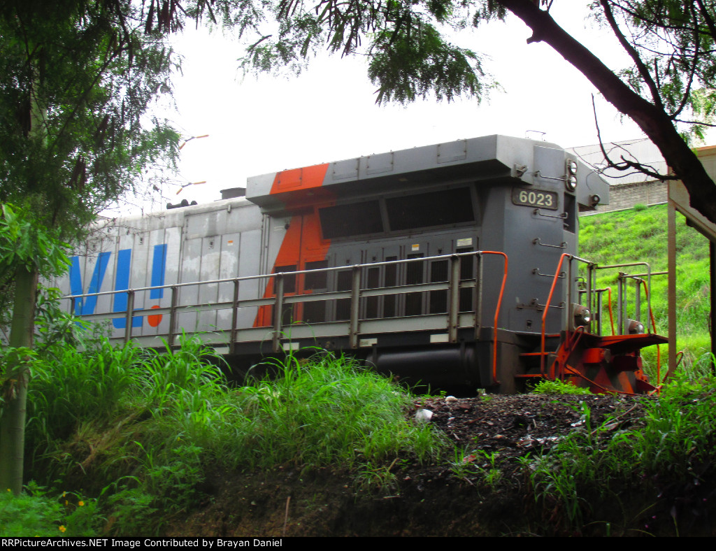 VLI 6023